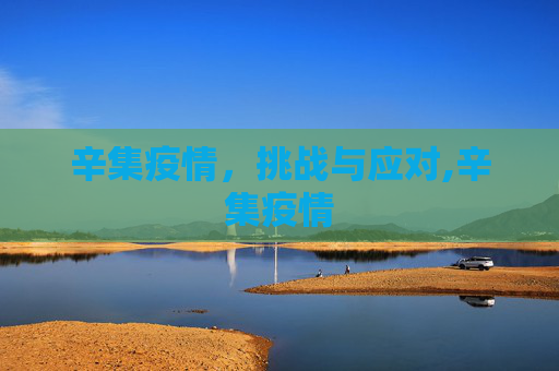 辛集疫情，挑战与应对,辛集疫情