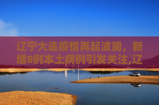 辽宁大连疫情再起波澜，新增8例本土病例引发关注,辽宁新增8例本土病例均在大连