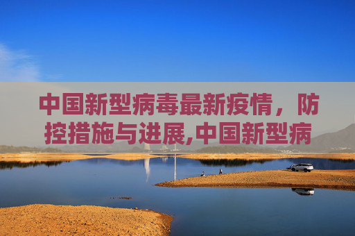 中国新型病毒最新疫情，防控措施与进展,中国新型病毒最新疫情