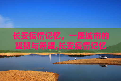 长安疫情记忆，一座城市的坚韧与希望,长安疫情记忆