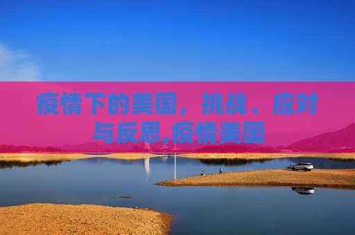 疫情下的美国，挑战、应对与反思,疫情美国