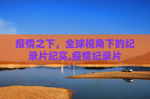 疫情之下，全球视角下的纪录片纪实,疫情纪录片