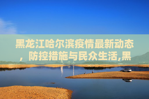 黑龙江哈尔滨疫情最新动态，防控措施与民众生活,黑龙江哈尔滨疫情最新消息