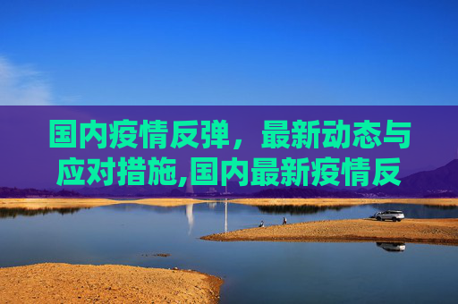 国内疫情反弹，最新动态与应对措施,国内最新疫情反弹情况