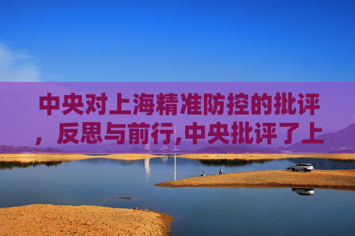 中央对上海精准防控的批评，反思与前行,中央批评了上海精准防控