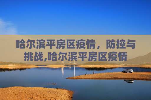哈尔滨平房区疫情，防控与挑战,哈尔滨平房区疫情