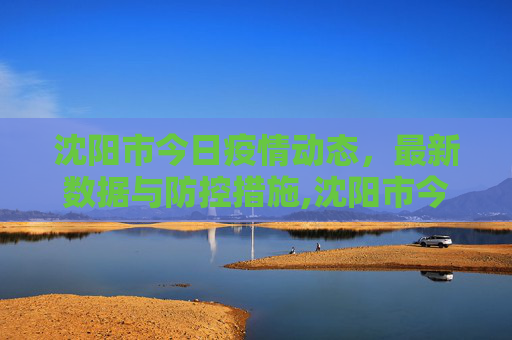沈阳市今日疫情动态，最新数据与防控措施,沈阳市今天最新疫情
