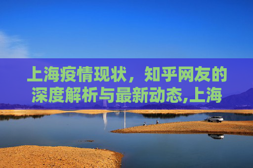 上海疫情现状，知乎网友的深度解析与最新动态,上海疫情情况知乎最新