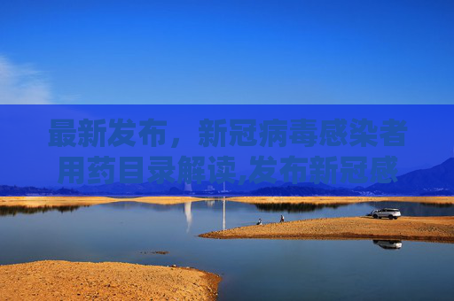 最新发布，新冠病毒感染者用药目录解读,发布新冠感染者用药目录