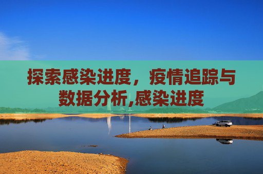 探索感染进度，疫情追踪与数据分析,感染进度