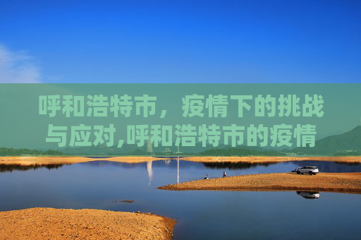 呼和浩特市，疫情下的挑战与应对,呼和浩特市的疫情