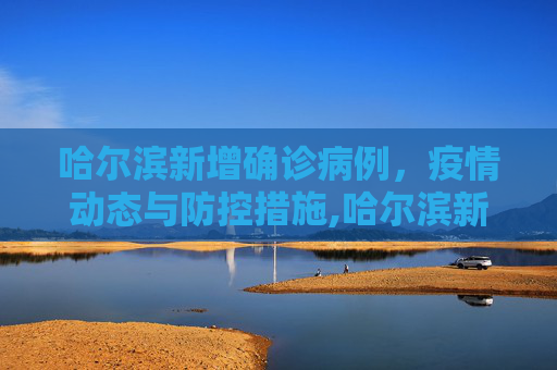 哈尔滨新增确诊病例，疫情动态与防控措施,哈尔滨新增确诊病例