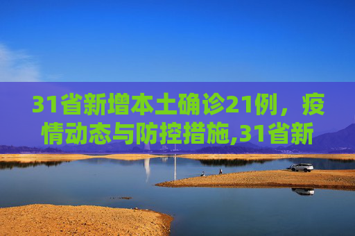 31省新增本土确诊21例，疫情动态与防控措施,31省新增本土确诊21例