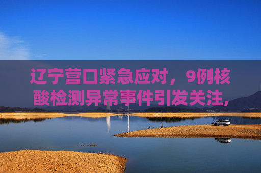 辽宁营口紧急应对，9例核酸检测异常事件引发关注,辽宁营口发现9例核检异常