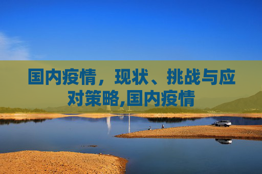 国内疫情，现状、挑战与应对策略,国内疫情