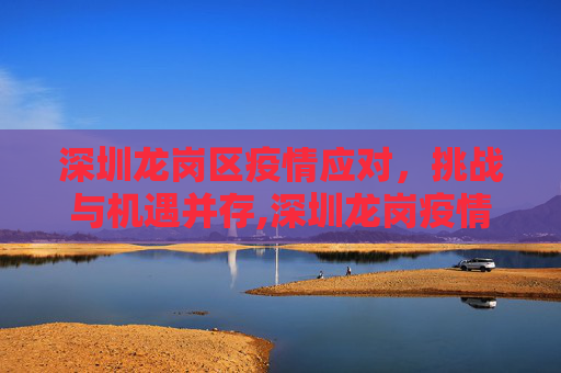 深圳龙岗区疫情应对，挑战与机遇并存,深圳龙岗疫情