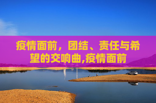 疫情面前，团结、责任与希望的交响曲,疫情面前