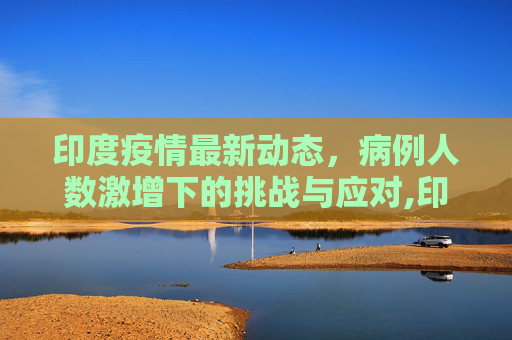 印度疫情最新动态，病例人数激增下的挑战与应对,印度最新疫情病例人数