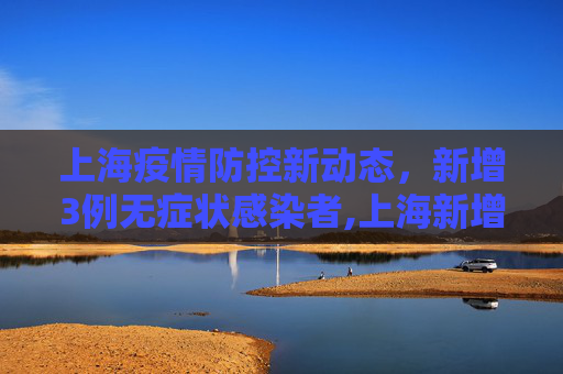上海疫情防控新动态，新增3例无症状感染者,上海新增3例无症状