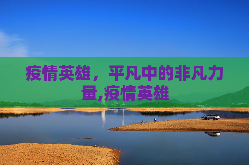 疫情英雄，平凡中的非凡力量,疫情英雄