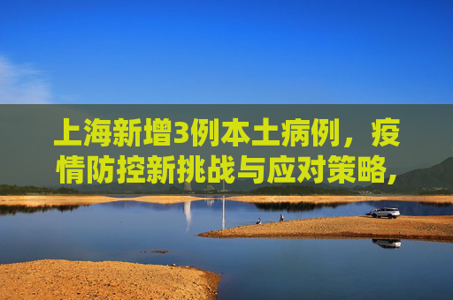 上海新增3例本土病例，疫情防控新挑战与应对策略,上海新增3例本土