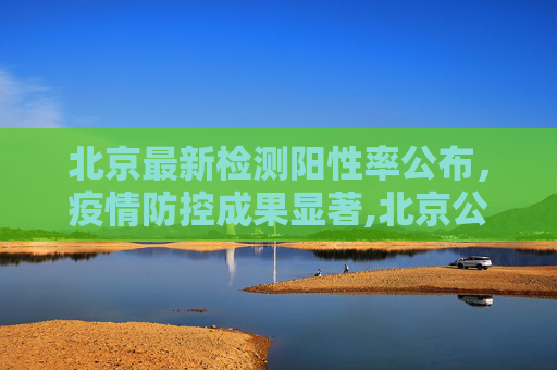 北京最新检测阳性率公布，疫情防控成果显著,北京公布最新检测阳性率