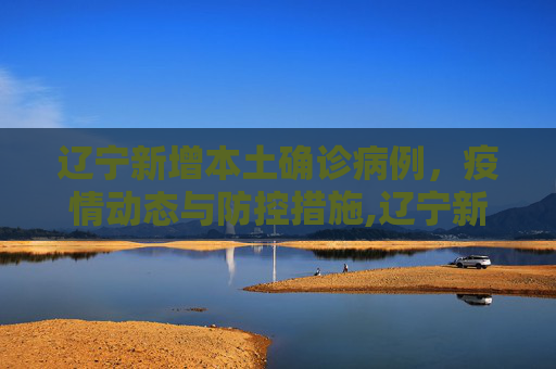 辽宁新增本土确诊病例，疫情动态与防控措施,辽宁新增本土确诊
