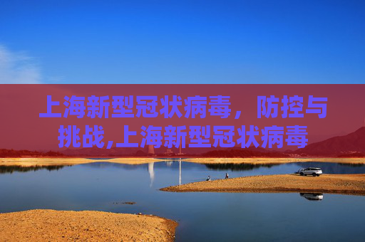 上海新型冠状病毒，防控与挑战,上海新型冠状病毒