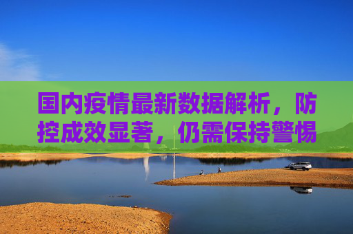 国内疫情最新数据解析，防控成效显著，仍需保持警惕,疫情最新数据国内