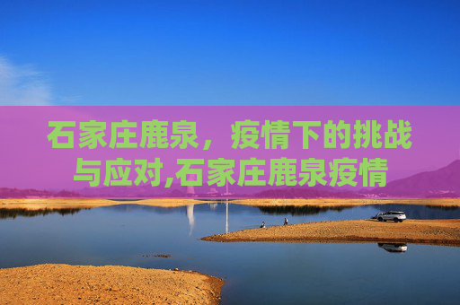 石家庄鹿泉，疫情下的挑战与应对,石家庄鹿泉疫情