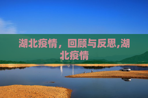 湖北疫情，回顾与反思,湖北疫情