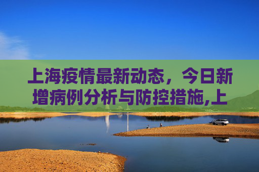 上海疫情最新动态，今日新增病例分析与防控措施,上海疫情最新消息今天新增