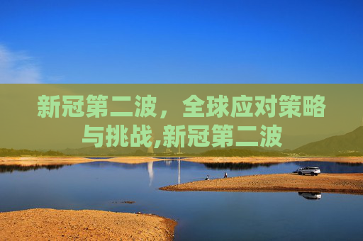 新冠第二波，全球应对策略与挑战,新冠第二波