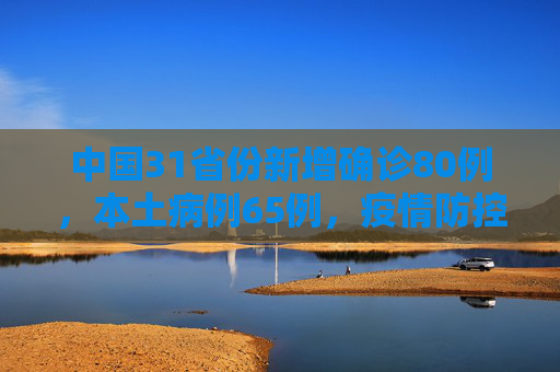 中国31省份新增确诊80例，本土病例65例，疫情防控形势依然严峻,31省份新增确诊80例本土65例
