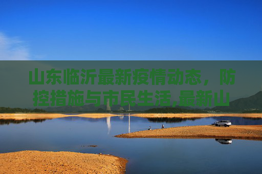 山东临沂最新疫情动态，防控措施与市民生活,最新山东临沂疫情