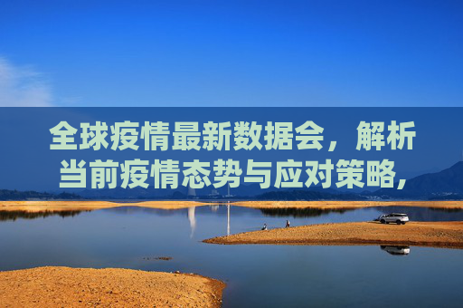 全球疫情最新数据会，解析当前疫情态势与应对策略,最新全球疫情最新数据会