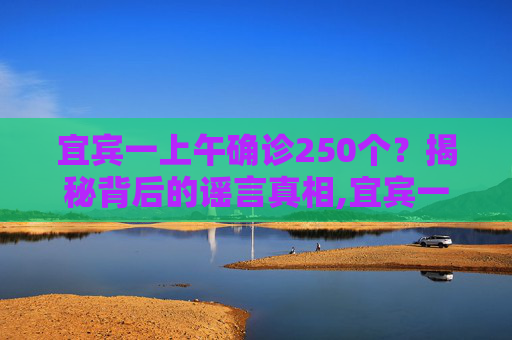 宜宾一上午确诊250个？揭秘背后的谣言真相,宜宾一上午确诊250个?谣言