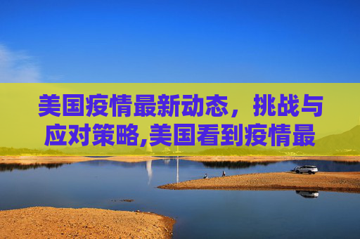 美国疫情最新动态，挑战与应对策略,美国看到疫情最新消息
