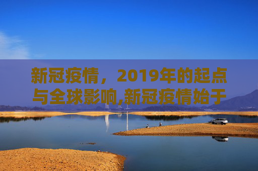 新冠疫情，2019年的起点与全球影响,新冠疫情始于2019年