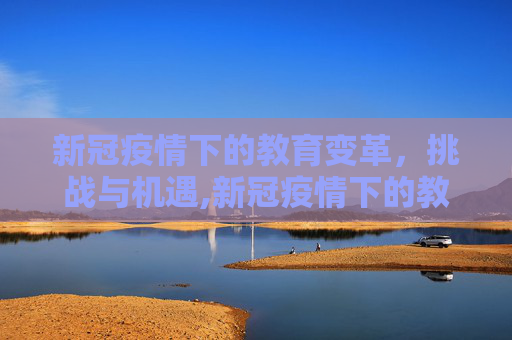 新冠疫情下的教育变革，挑战与机遇,新冠疫情下的教育变革