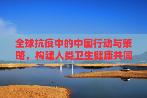 全球抗疫中的中国行动与策略，构建人类卫生健康共同体,全球抗疫下的中国行动与策略