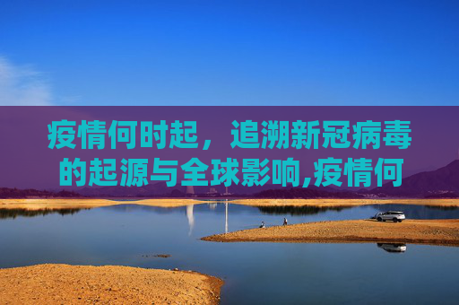 疫情何时起，追溯新冠病毒的起源与全球影响,疫情何时起