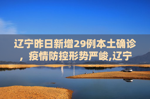 辽宁昨日新增29例本土确诊，疫情防控形势严峻,辽宁昨日新增29例本土确诊