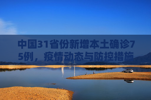 中国31省份新增本土确诊75例，疫情动态与防控措施,31省份新增本土确诊75例