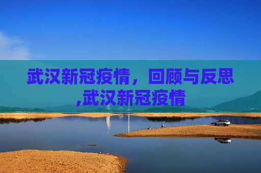 武汉新冠疫情，回顾与反思,武汉新冠疫情