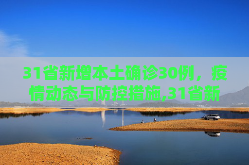 31省新增本土确诊30例，疫情动态与防控措施,31省新增本土确诊30例