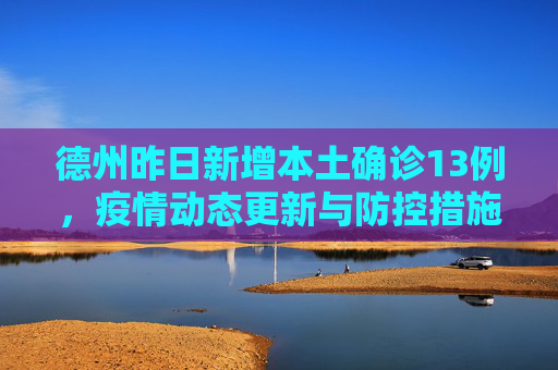 德州昨日新增本土确诊13例，疫情动态更新与防控措施,德州昨日新增本土确诊13例