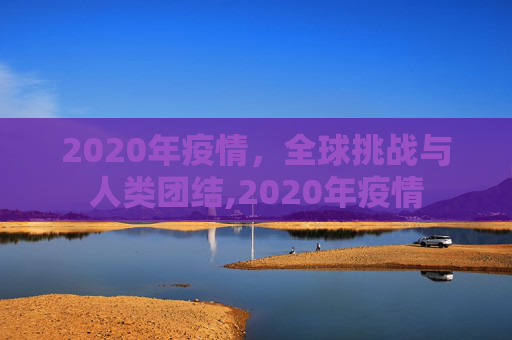 2020年疫情，全球挑战与人类团结,2020年疫情