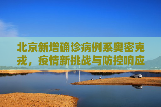 nodesh 第546页