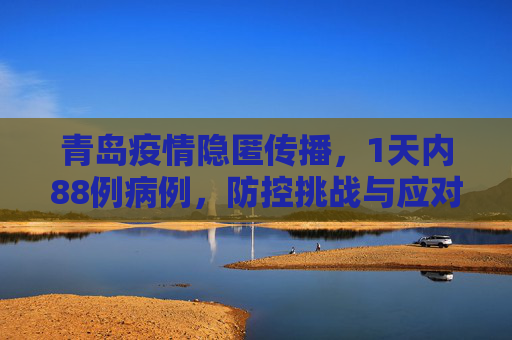 青岛疫情隐匿传播，1天内88例病例，防控挑战与应对策略,1天88例青岛疫情出现隐匿传播